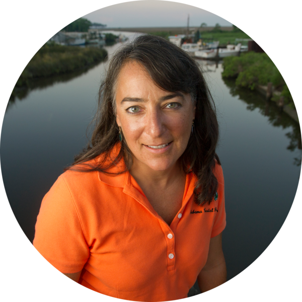 Go to the profile of Judy Haner