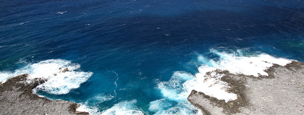 Kinship Conservation Fellows: Cases in Conservation Finance