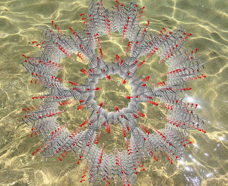 Enzymatic catalysis in MOF confined spaces allows structural resolution of natural products