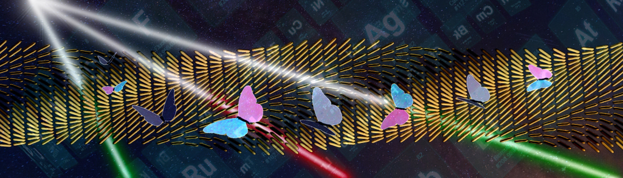 ​Creating order out of chaos: magnetic alignment makes plasmonic nanostructures shine