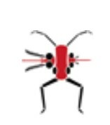 BugBitten – a look back at 2022