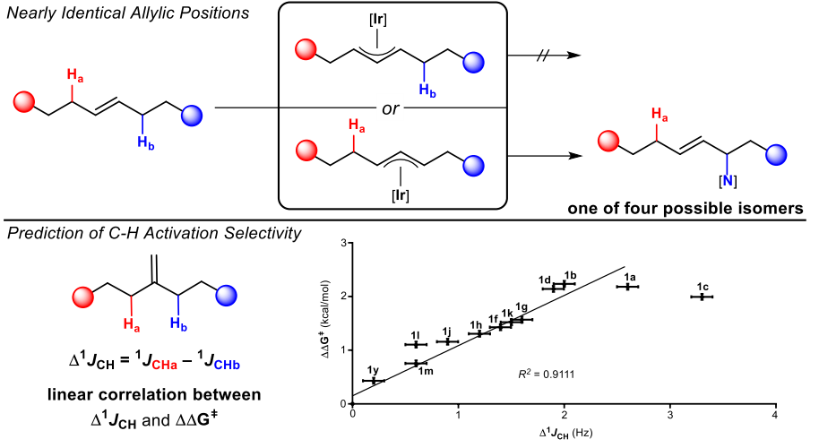 A site-selective amination catalyst discriminates between nearly identical C–H bonds of unsymmetrical disubstituted alkenes