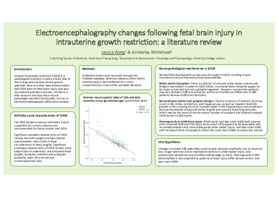 [Poster] Electroencephalography changes following fetal brain injury in intrauterine growth restriction: a literature review
