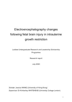 [Research report] Electroencephalography changes following fetal brain injury in intrauterine growth restriction