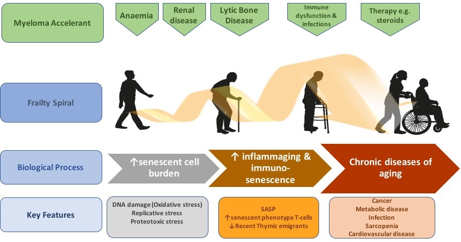 Coming of Age - the paradigm of treating multiple myeloma