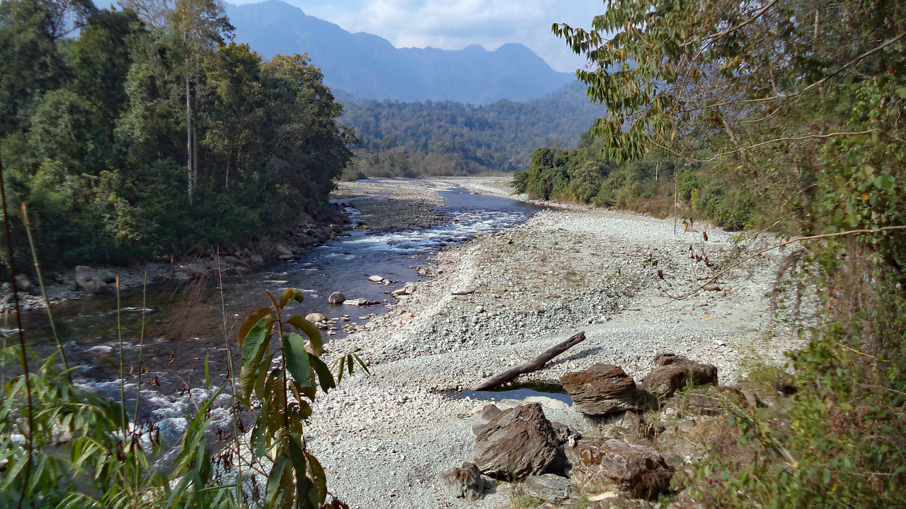 Historic changes in species composition for a globally unique bird community 