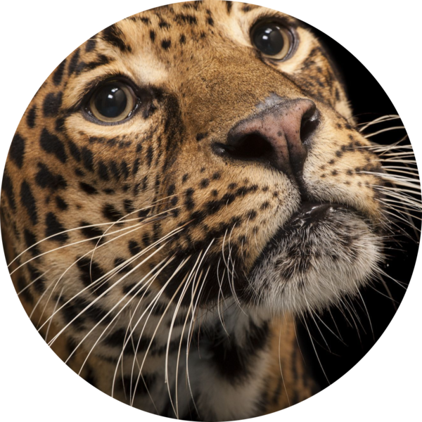 Go to the profile of Stephanie Pendry