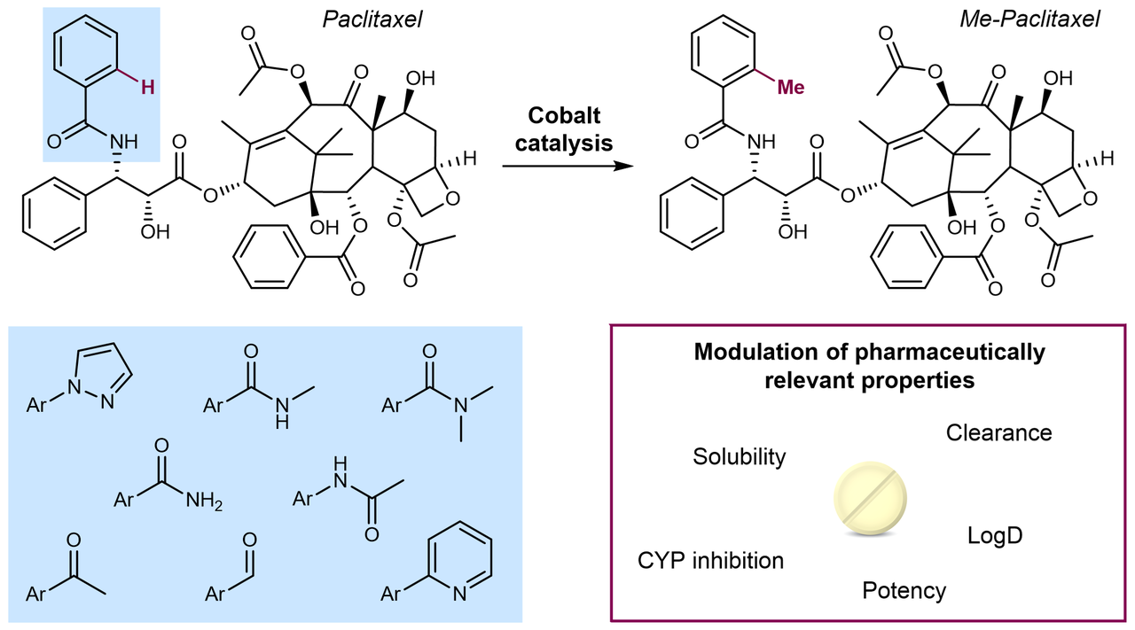 Cobalt-catalysed C–H methylation for late-stage drug diversification