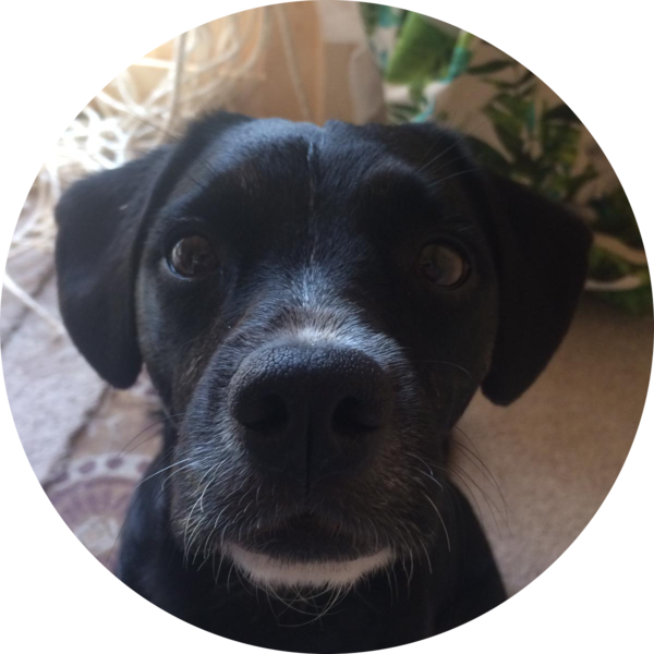 Go to the profile of Sarah Grant