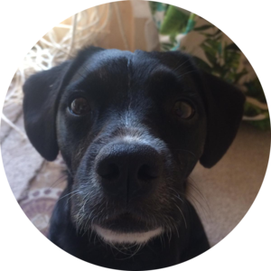 Go to the profile of Sarah Grant