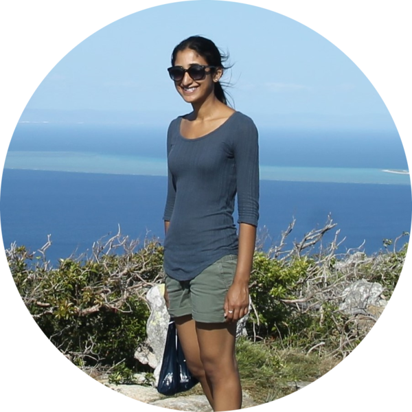 Go to the profile of Sitara Palecanda