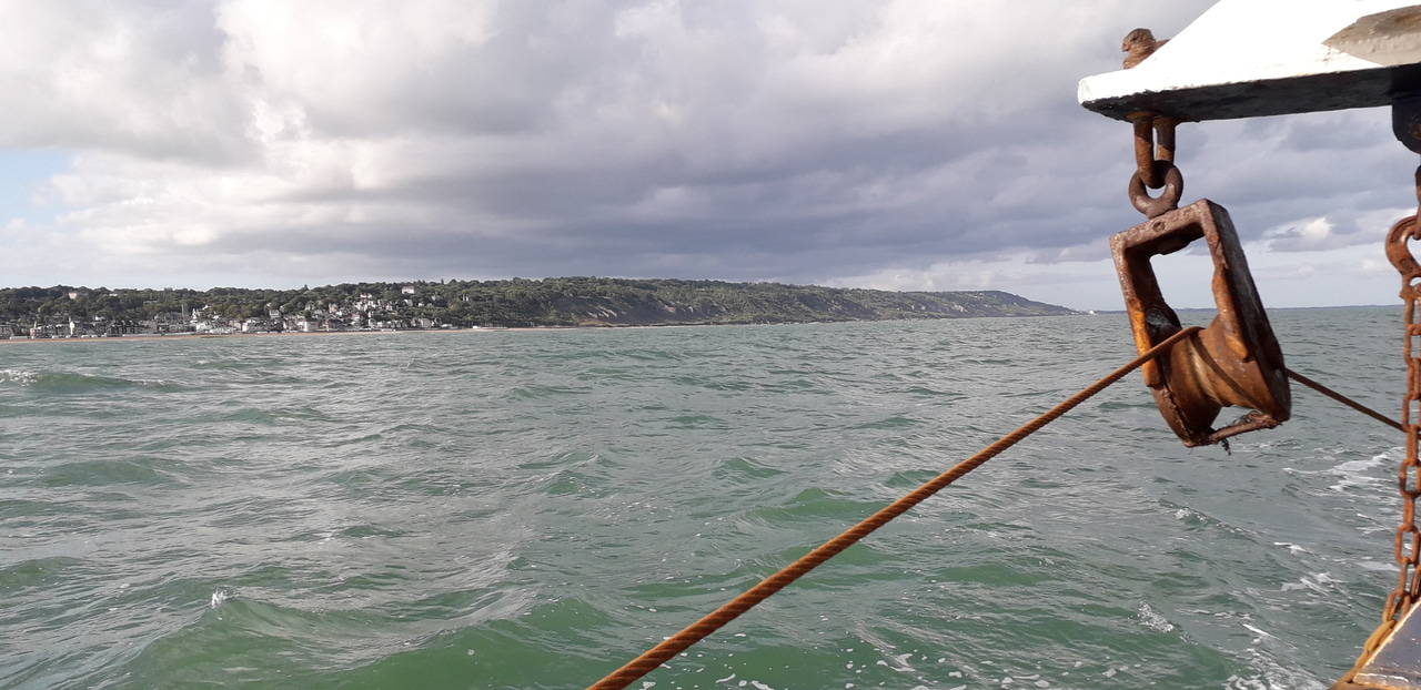 First steps in fisheries science