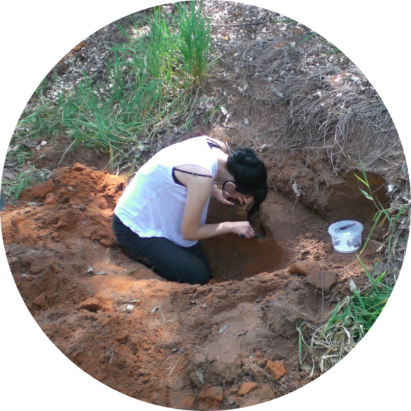 Go to the profile of Mariana Barcoto