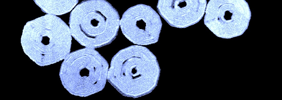 Supramolecular double-stranded Archimedean spirals and concentric toroids