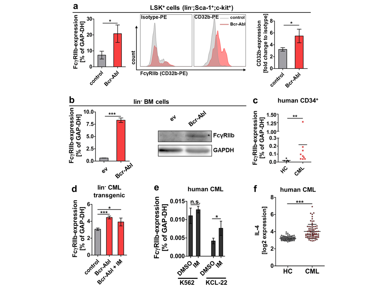 Therapeutic inhibition of FcγRIIb signaling targets leukemic stem cells in chronic myeloid leukemia