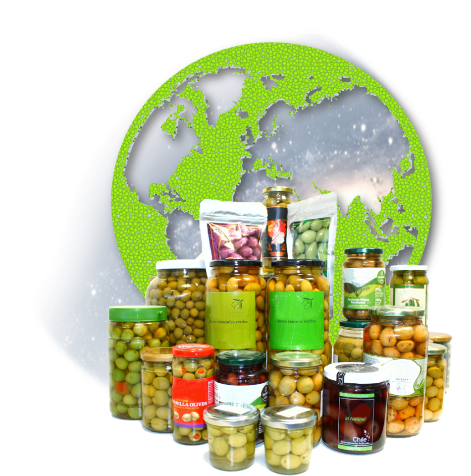 A trip to the bacterial microcosm of table olives