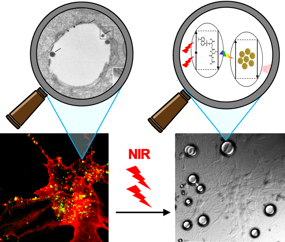 NIR Photoablation of Cancer Cells