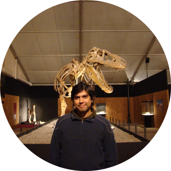 Go to the profile of David Rubilar-Rogers