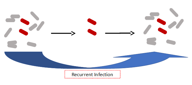 Inhibiting indole signalling offers a potential strategy for combatting antibiotic persisters