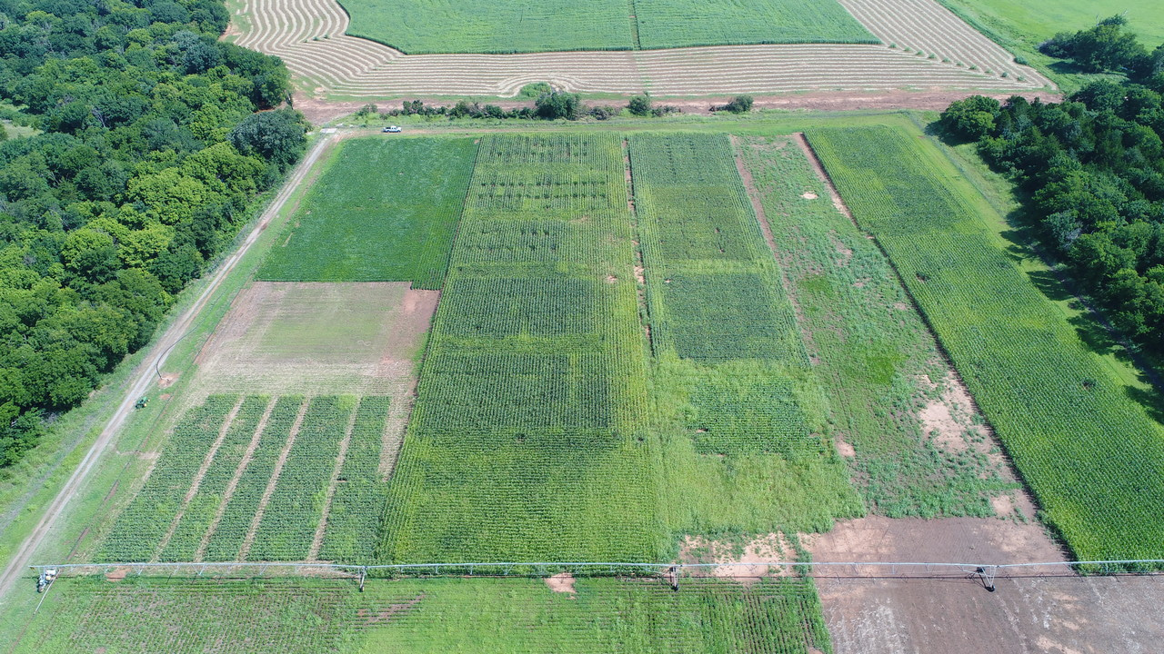 To the long-term field experiments