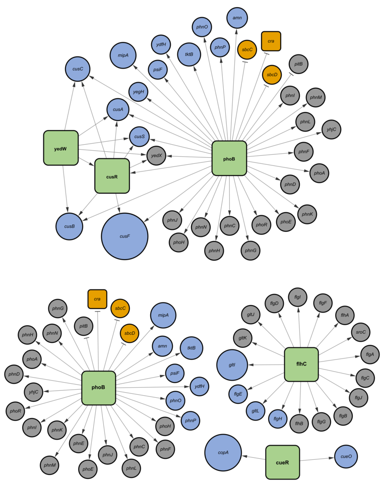 ReProMin:  Systems Biology tool toward streamlined biological design