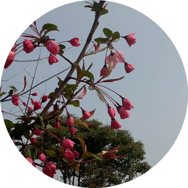 Go to the profile of Zhigang Hu