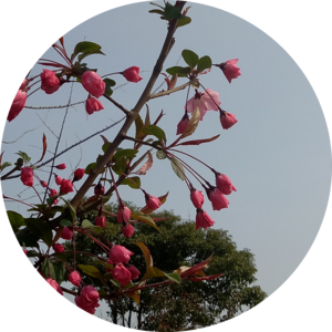 Go to the profile of Zhigang Hu