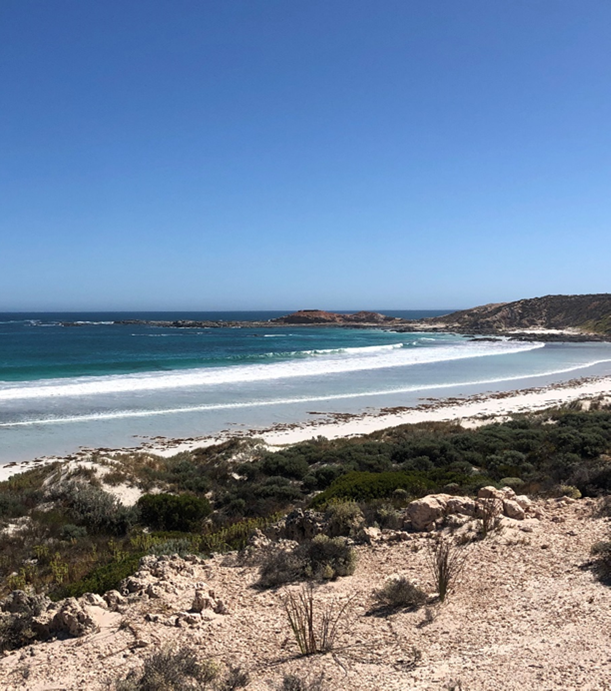 How much do we know about our impact on the oceans?