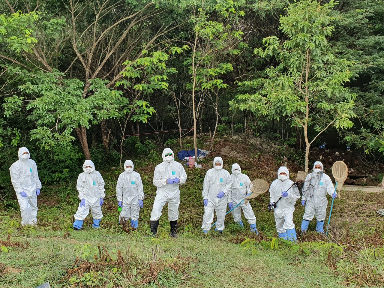 Southeast Asia – a hotspot for SARS-CoV-2-related coronaviruses