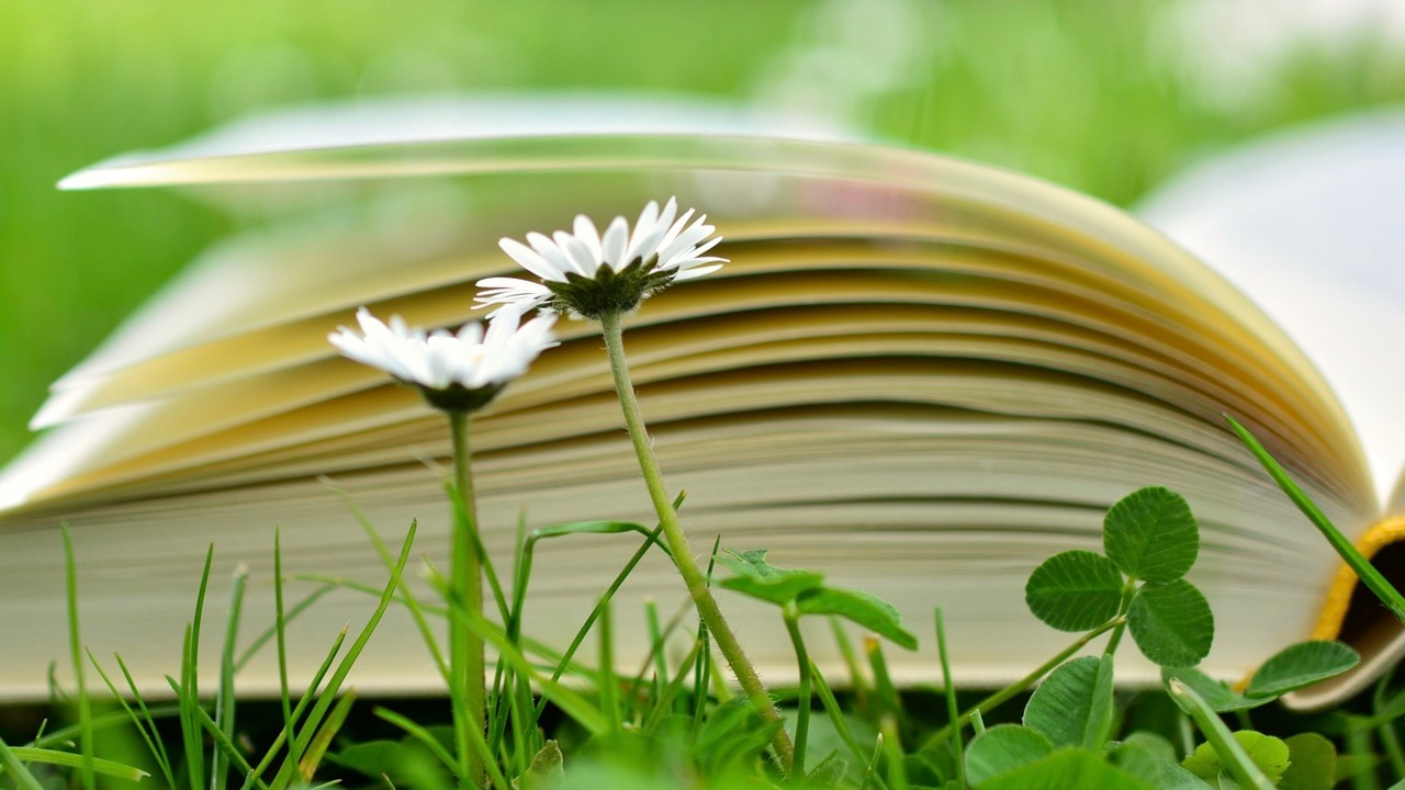 School life in lockdown