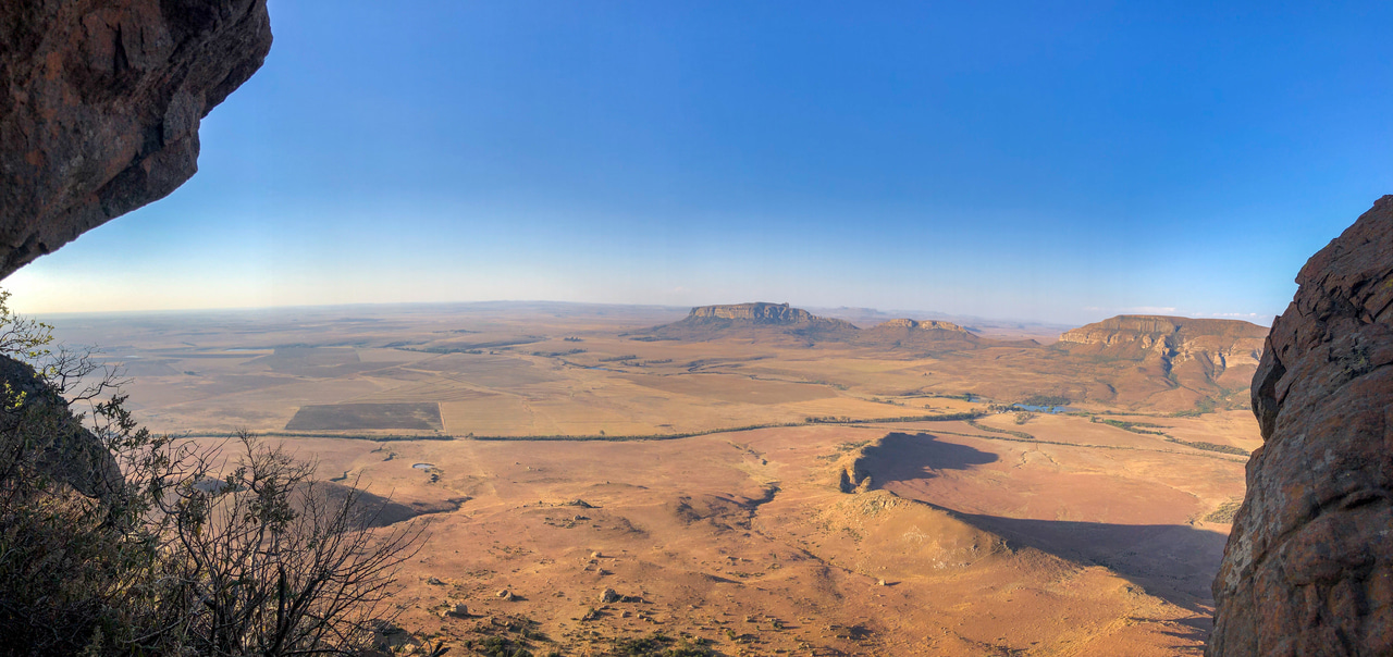 Hottest of them all? A new upper limit to avian body temperature