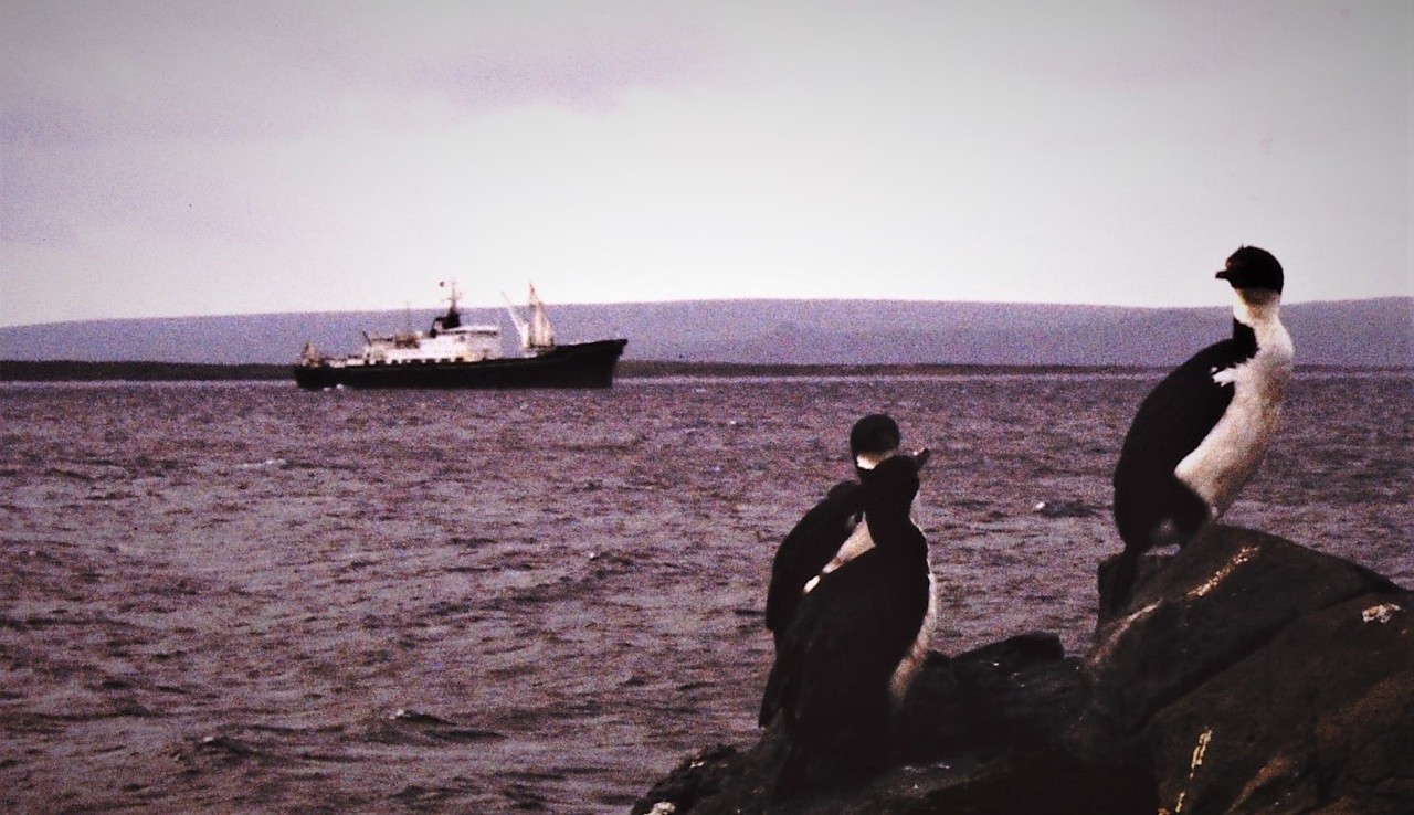 Relationship of Morphometrics, Total Carotenoids, and Total Lipids with Activity and Sexual and Spatial Features in Euphausia superba. 