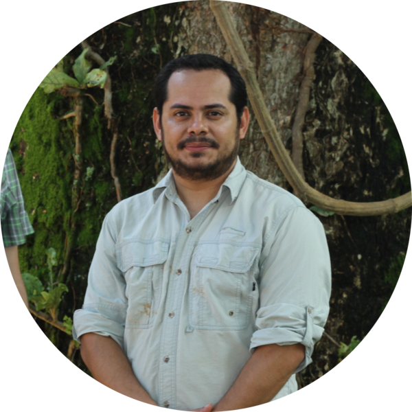 Go to the profile of Allan Valverde