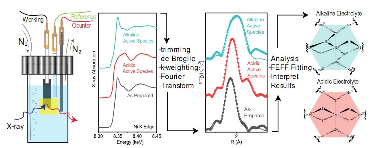 Observing the dynamic evolution of an electrocatalytic active species
