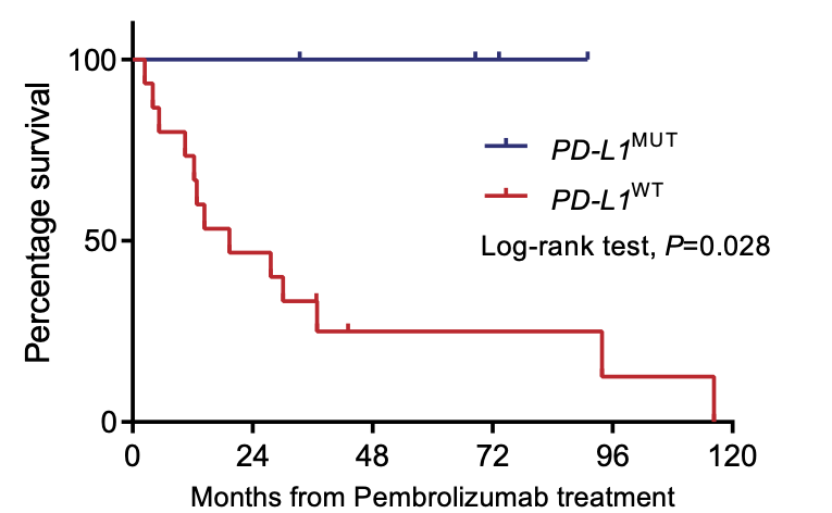 Behind-the-paper: 
Whole-genome Sequencing Identifies Responders to Pembrolizumab in Relapse/Refractory Natural-killer/T Cell Lymphoma