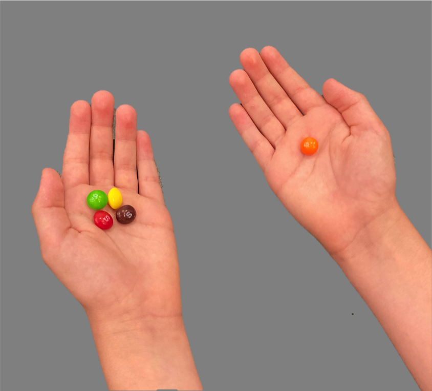 Do children use fairness to guide their decisions in partner choice and cooperative contexts?