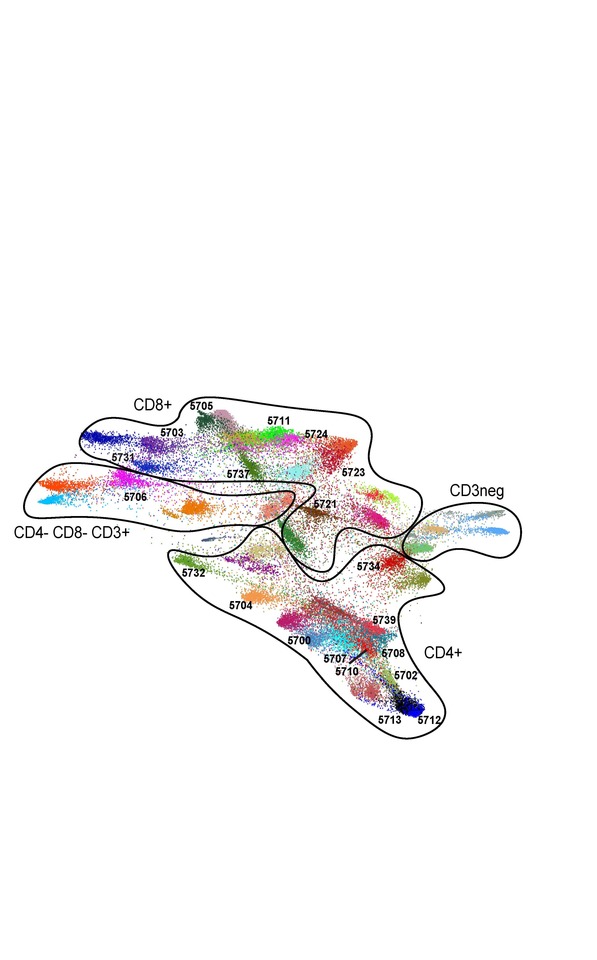 A peripheral immune signature of responsiveness to PD-1 blockade in patients with classical Hodgkin lymphoma