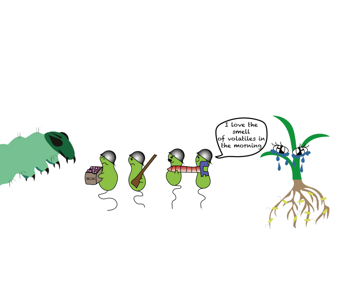 One bacterium to rule them all: transcriptome plasticity makes Pseudomonas a multitasking biocontrol tool.