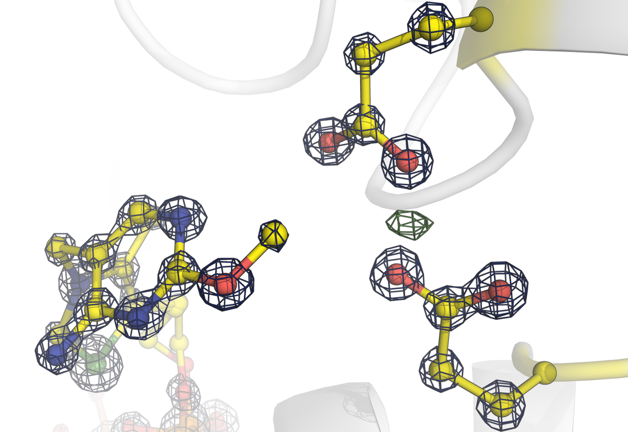 Are antivitamins the new antibiotics?