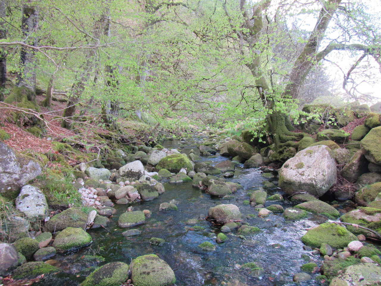 National River Macroinvertebrate Surveys in Ireland, 2007-2018