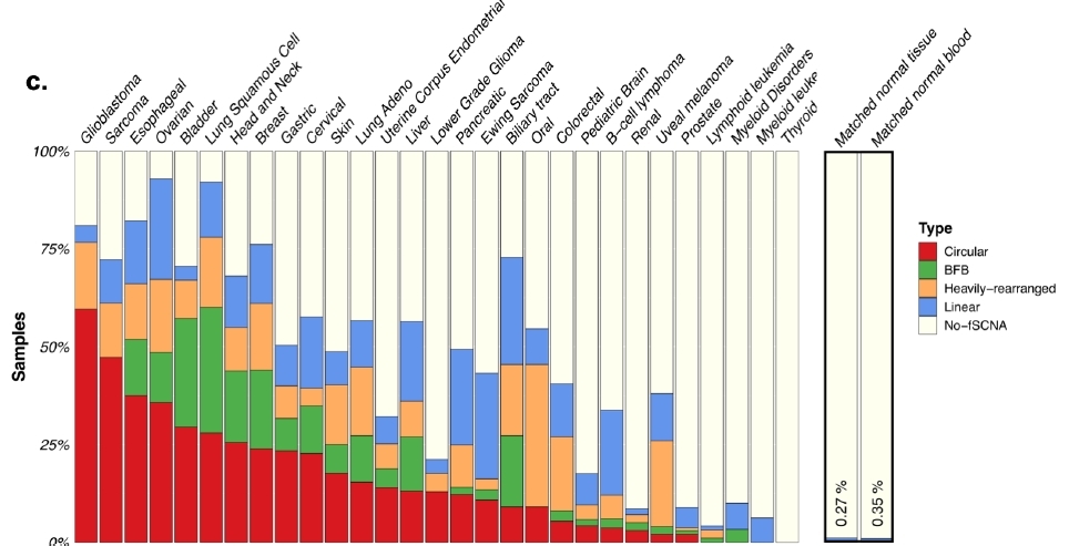 Extrachromosomal DNA is associated with oncogene amplification and poor outcome across multiple cancers