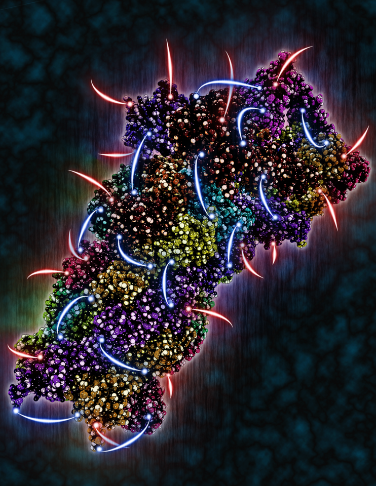 Quality vs quantity in proteome-wide cross-linking mass spectrometry

