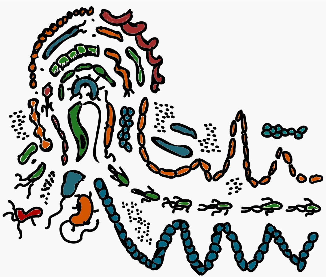 Deciphering microbial dynamics with phenotypic signatures