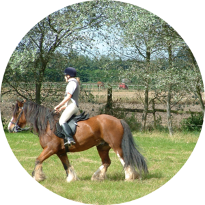 Go to the profile of Lizzie Bannister