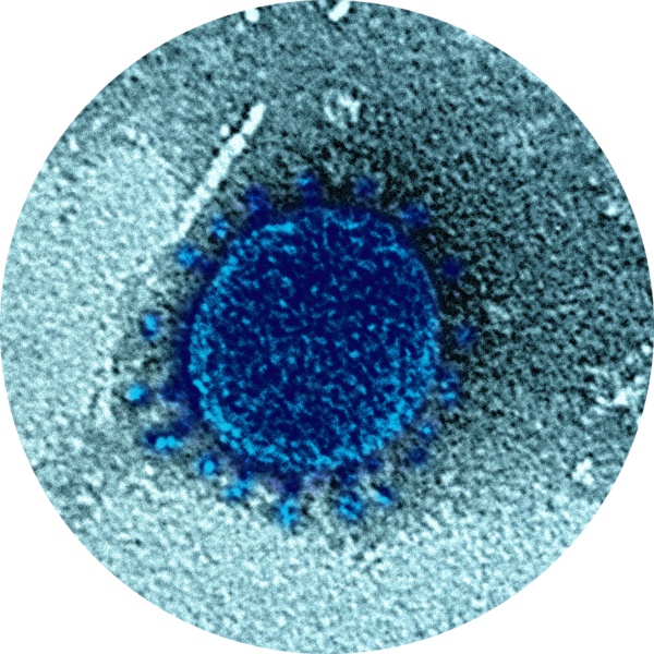 Go to the profile of Shmuel Yitzhaki, Ph.D.