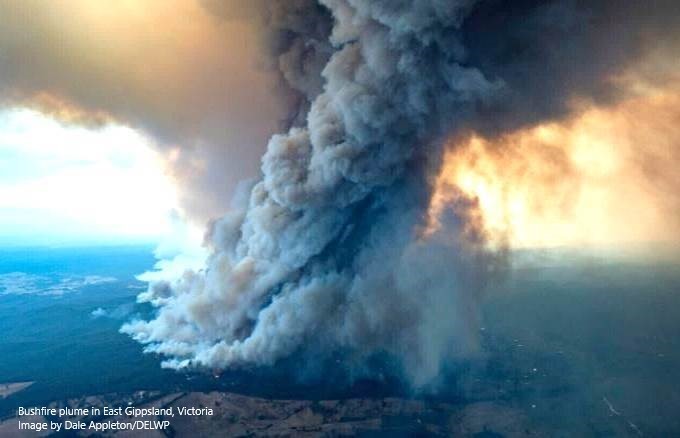 Startling repercussions of the 2019/20 Australian wildfires on the stratosphere