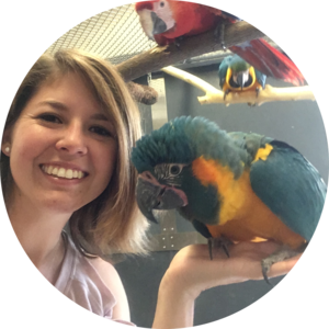 Go to the profile of Paola