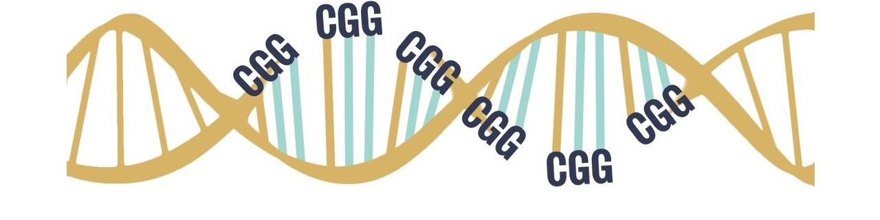 Closing the gap in missing heritability