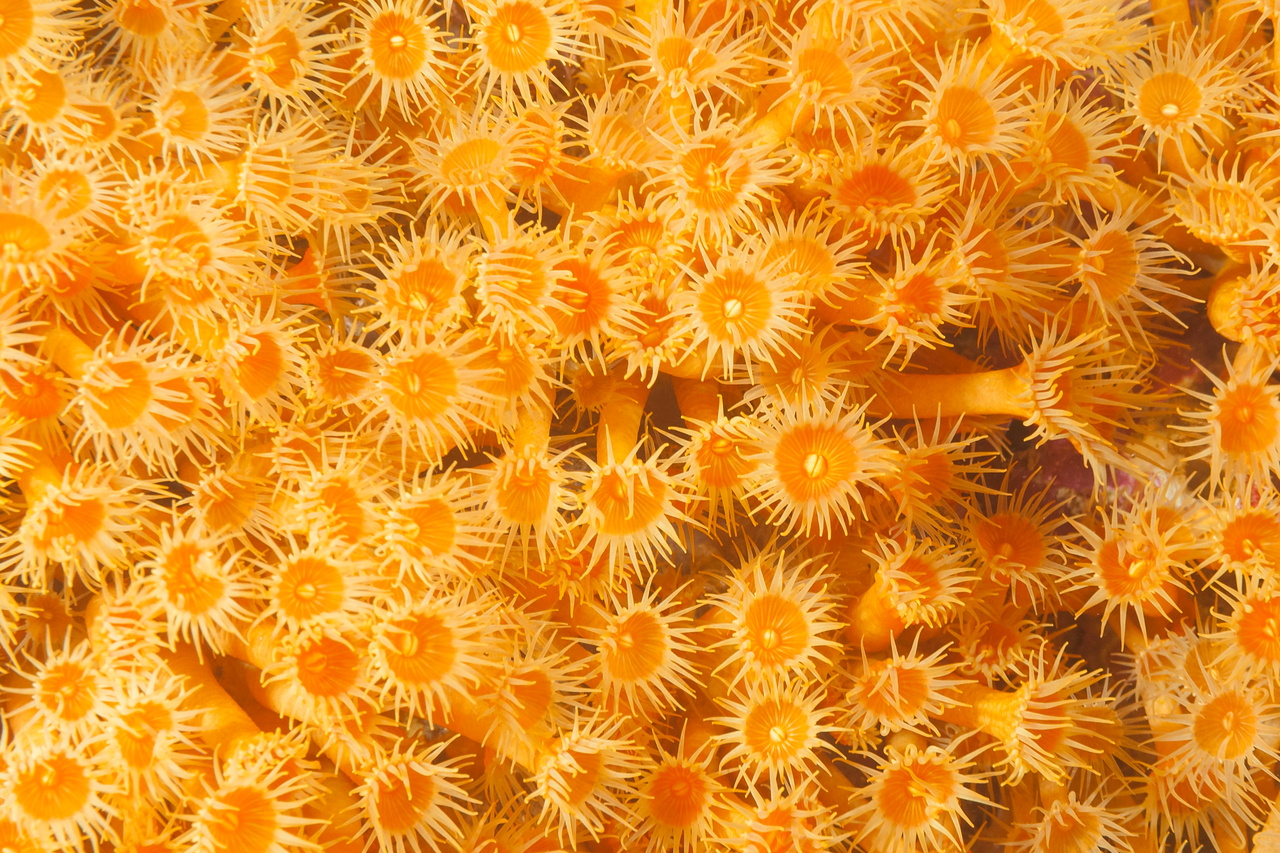 Curious about qualitative research methods?