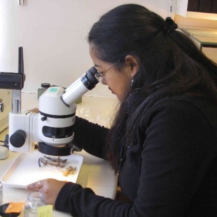 Go to the profile of Fanomezana Ratsoavina